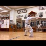 7th Dan practice #信武舘 #古武道 #karate #shimbukan #okinawa #空手 #kobudo #japan #沖縄