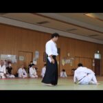 Meishinryu Aikido techniques 明真流　合気道の稽古　2021　0808-01