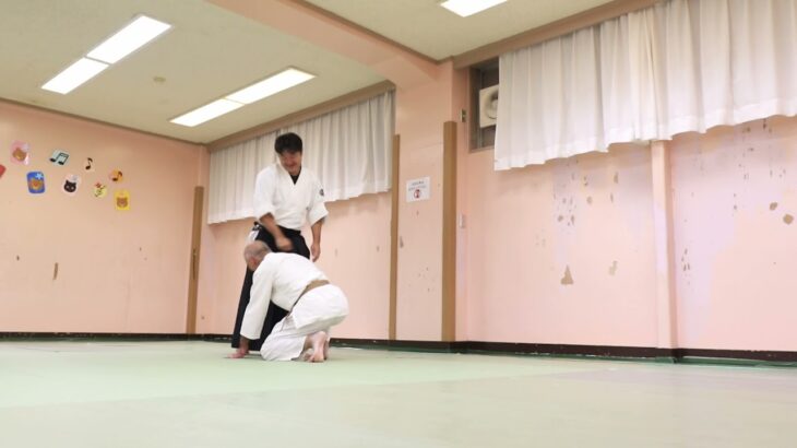 Meishinryu Aikido techniques 明真流　合気道の稽古　2021　1021