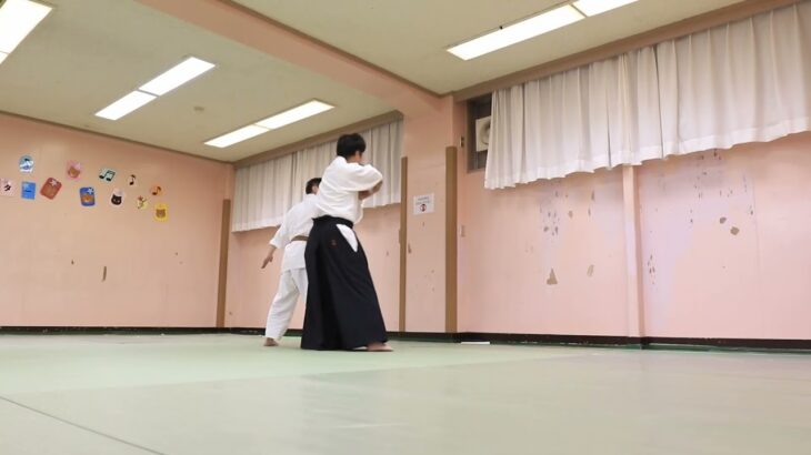 Meishinryu Aikido techniques 明真流　合気道の稽古　2021　1104