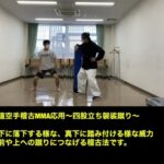 武道空手MMA応用／突き・蹴り・投げは全て同原理の操作