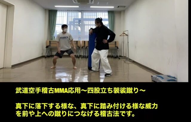 武道空手MMA応用／突き・蹴り・投げは全て同原理の操作