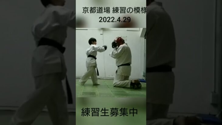 京都道場 練習の模様 2022.4.29