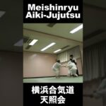合気の可能性と技　What Aiki is Vol.12