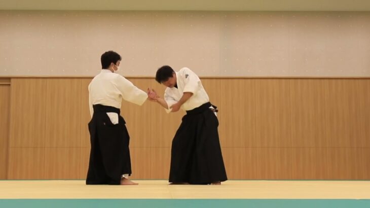 Meishinryu Aikido techniques 明真流　合気道の稽古 2022 0528