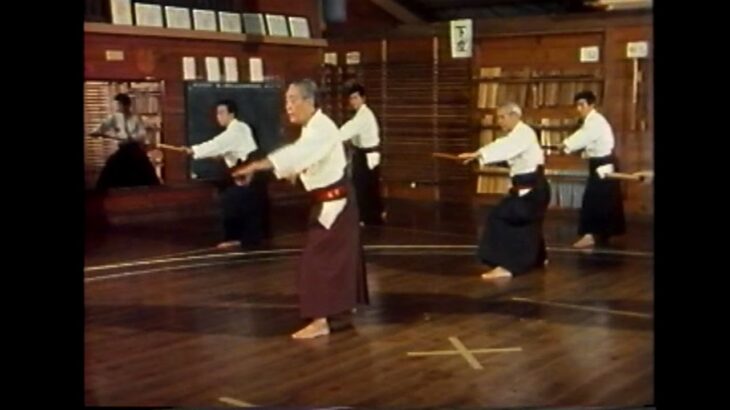 Ryukyu Kobujutsu  Hozonshinko kai 琉球古武術保存振興会