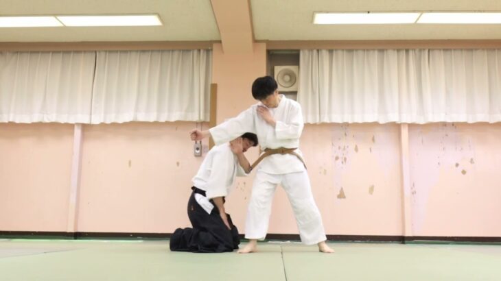 Meishinryu Aikido techniques 明真流　合気道の稽古 2022 0602
