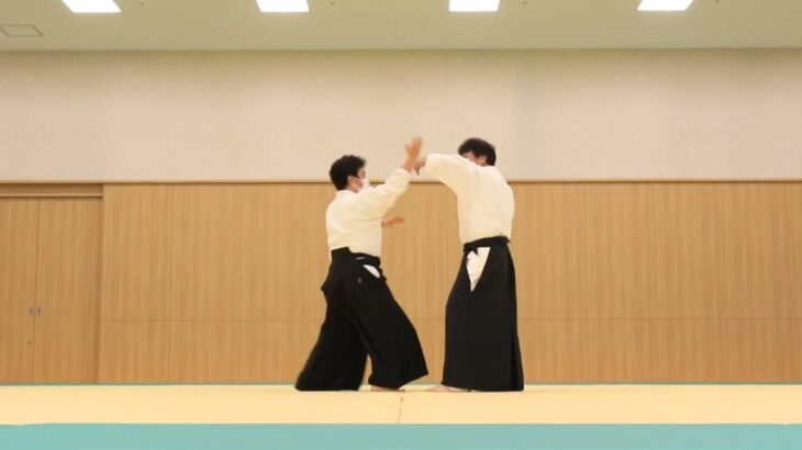 Meishinryu Aikido techniques 明真流　合気道の稽古 2022 0611