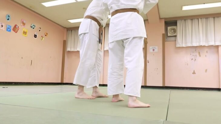 Meishinryu Aikido techniques 明真流　合気道の稽古 2022 0616