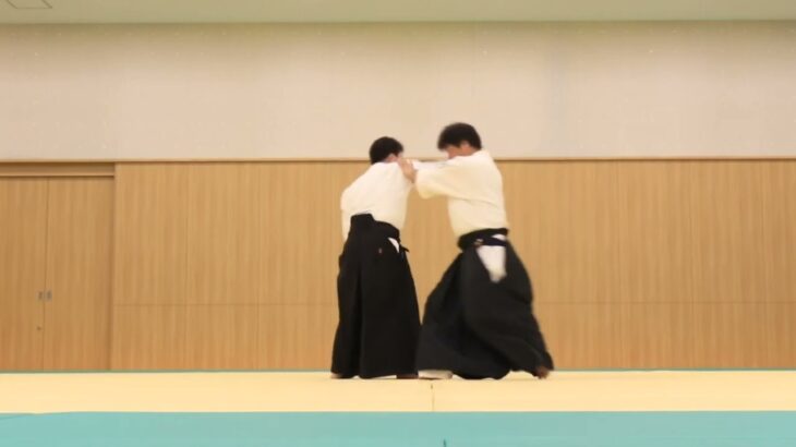 Meishinryu Aikido techniques 明真流　合気道の稽古 2022 0625