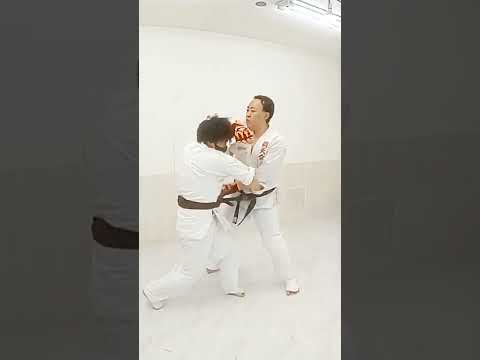 Aikido hitting fight.合気道の実用当身（打撃組手）正面打ち・横面打ちが決まる！