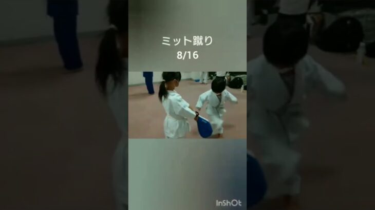 ミット蹴り2022.8.16総合空手禅道会 生徒募集中