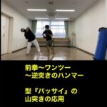 武道空手/MMA応用/武器術の原理と空間の把握