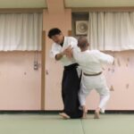 Meishinryu Aikido techniques 明真流　合気道の稽古 2022 0823