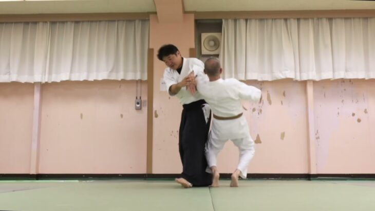 Meishinryu Aikido techniques 明真流　合気道の稽古 2022 0823
