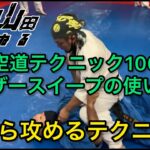 【武道】空道テクニック106「シザースイープの使い方」【格闘技】