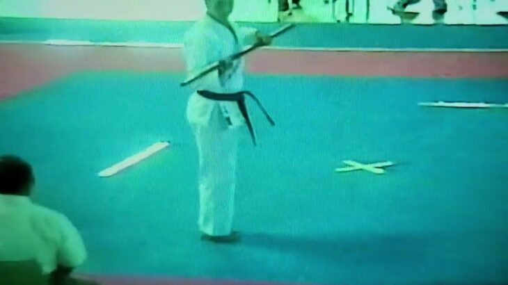 1995年『沖縄空手古武道世界大会《プレ大会》』