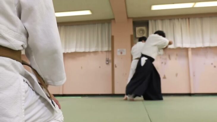 Meishinryu Aikido techniques 明真流　合気道の稽古 2022 0920