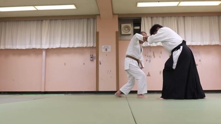 Meishinryu Aikido techniques 明真流　合気道の稽古 2022 0928