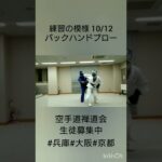 バックブロー  2022.10.12空手道禅道会関西 生徒募集中https://ameblo.jp/yodogawagym/