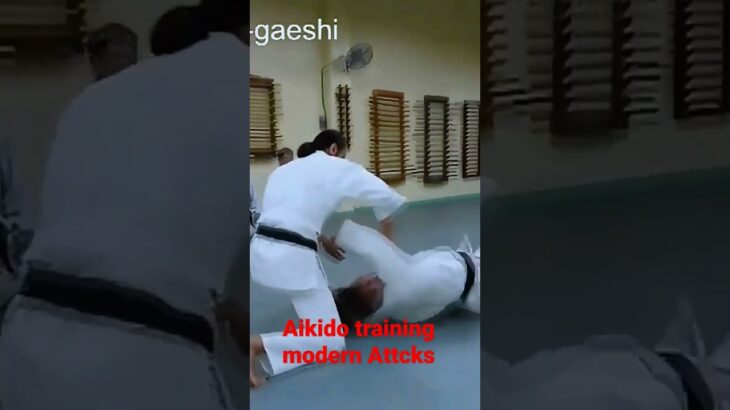 Aikido Yosinkan Brisbane Dojo Mori Shihan 8th Dan 「打撃 vs 合気道 」合気道養神館 豪州道場 森道治師範 八段
