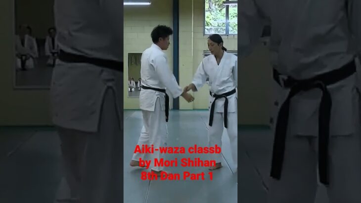 Aikido Yosinkan Brisbane Dojo Mori Shihan Aiki-waza Class Part 1 合気道養神館 豪州道場 森道治師範「合気技クラス 1」