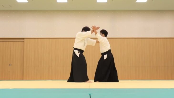 Meishinryu Aikido techniques 明真流　合気道の稽古 2022 1001