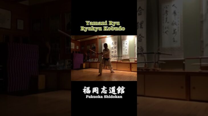 Yamani Ryu Ryukyu Kobudo ～山根流琉球古武道～ #福岡志道館 #fukuokashidokan #shorts #karate #kobudo #okinawakarate