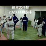 練習の模様　2022.11月前半　空手道禅道会関西 生徒募集中