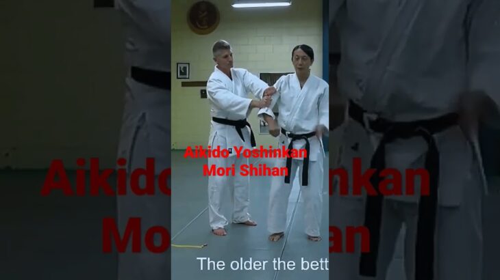 Mori Shihan 「合気の極意を分析！」Aikido Yoshinkan Brisbane Dojo 森師範 合気道養神館 豪州道場
