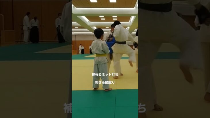 【補強＆膝蹴り】ミット打ち　頑張ってます！@国際武道連盟 清武会 三重道場