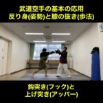 武道空手MMA応用／鈎突き上げ突き