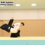 Meishinryu Aikido techniques 明真流　合気道の稽古 2023 0107