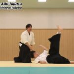 Meishinryu Aikido techniques 明真流　合気道の稽古 2023 0115