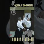 Aikido Tendokan Kancho Kenji Shimizu 〜Shomen uchi Kokyunage〜　#aikido #合気道 #武道