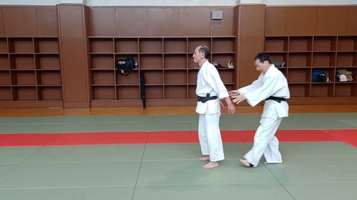Budo training in Aikido　No 160 Aikinage合気投