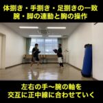 武道空手MMA応用／左右の腕の軸と正中線