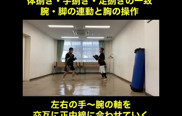 武道空手MMA応用／左右の腕の軸と正中線