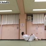 Meishinryu Aikido techniques 明真流　合気道の稽古 2023 0202