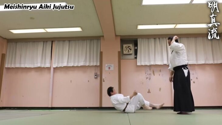 Meishinryu Aikido techniques 明真流　合気道の稽古 2023 0202