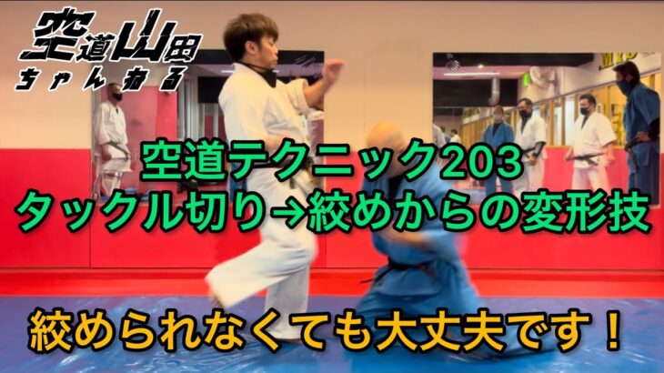 【武道】空道テクニック203「タックル切り→絞めからの変形技」【格闘技】