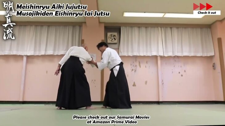 Meishinryu Aikido techniques 明真流　合気道の稽古 2023 0302