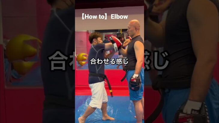 【How to】Elbow~肘打ち~ #空道 #大道塾 #空手 #武道 #肘打ち