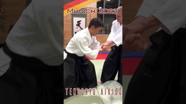 Kenta Shimizu Aikido Tendokan Dojocho / Seminar in Munich, GERMANY 2023① #aikido #合気道 #武道