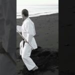 Kobudō 古武道 #karate