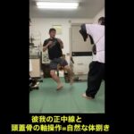 武道空手MMA応用／平安三段最終挙動の応用