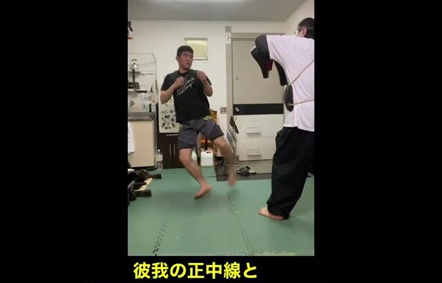 武道空手MMA応用／平安三段最終挙動の応用