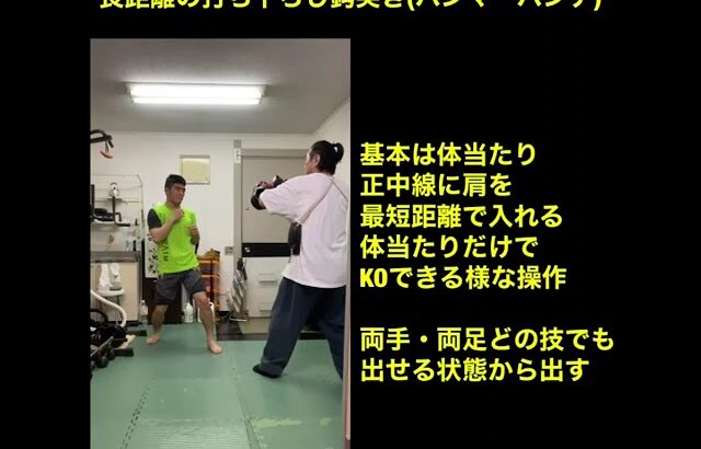 武道空手MMA応用／打ち下ろし鈎突きと体捌き