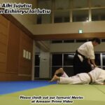 Meishinryu Aikido techniques 明真流　合気道の稽古 2023 0421