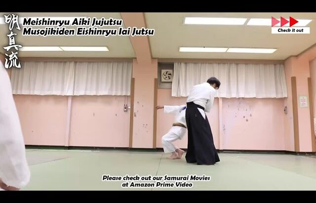 Meishinryu Aikido techniques 明真流　合気道の稽古 2023 0425